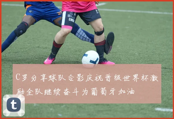 C罗分享球队合影庆祝晋级世界杯激励全队继续奋斗为葡萄牙加油