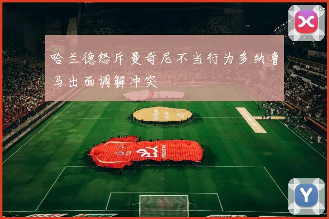 哈兰德怒斥曼奇尼不当行为多纳鲁马出面调解冲突